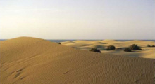 Sandd�nen auf Gran Canaria